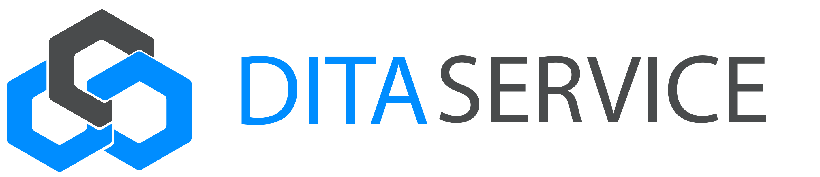 logo-ditaservice-black